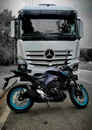 Mt03 2025