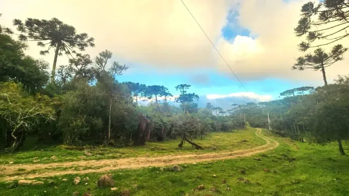 Terreno à venda no Baiano, 2 hectares