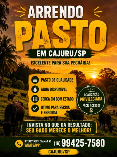 * Arrenda-se Sítio Rural em Cajuru/SP - 
