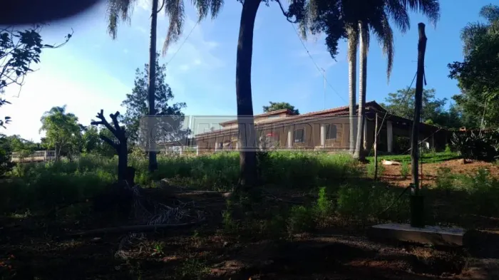 Chácara em Bairro em Piedade