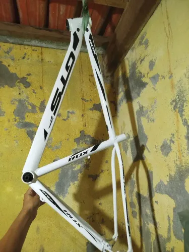 Quadro GTS Feel RDX aro 29 - tamanho 17