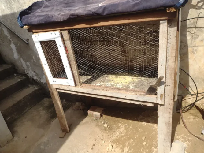 Viveiro grande retirar na cic ou entrego