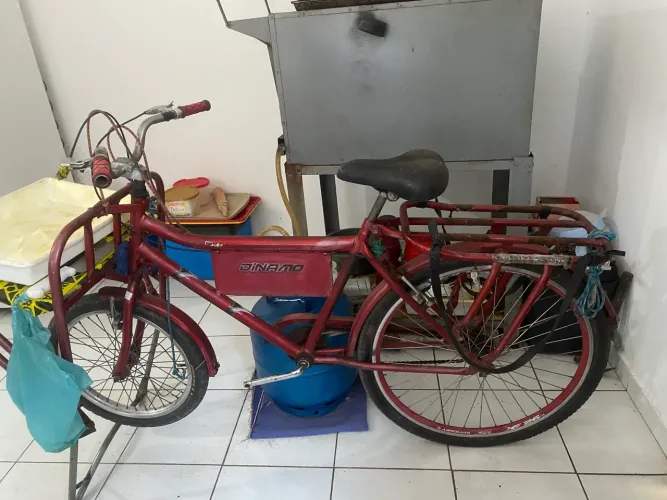 Bicicleta cargueira 