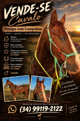 Vende-se cavalo