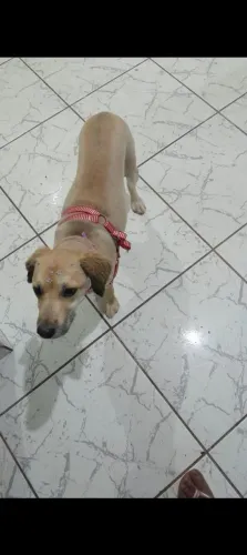 Doação