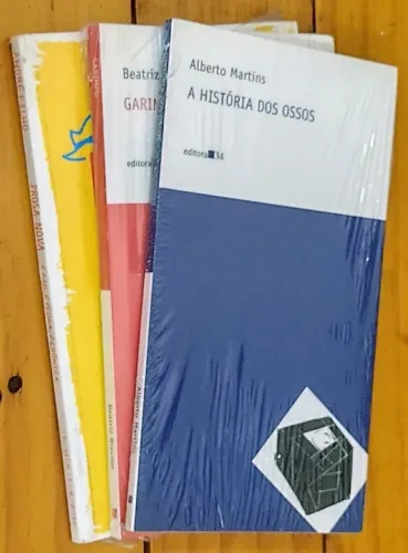 Kit 3 livros: A História dos Ossos; Garimpo; É Pau, É Pedra, É Crônica: Coleção Prosa Nov