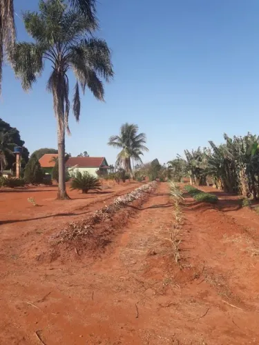 Chácara 4,328 hectares