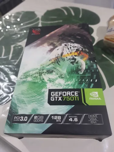 Placa de video gtx 750 ti defeito