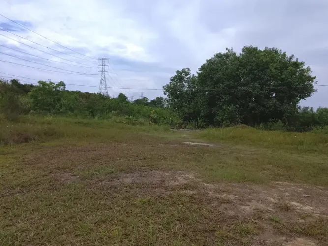 VENDO TERRENO COM 250 MIL METROS NA AV AUTAZ MIRIM DISTRITO 1