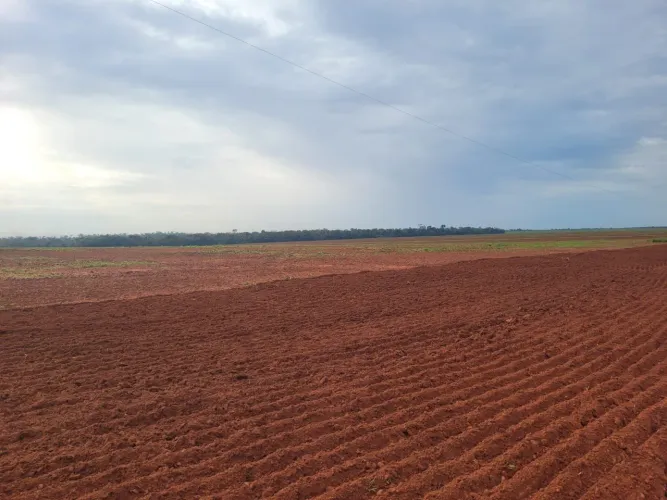 Fazenda "Oportunidade"