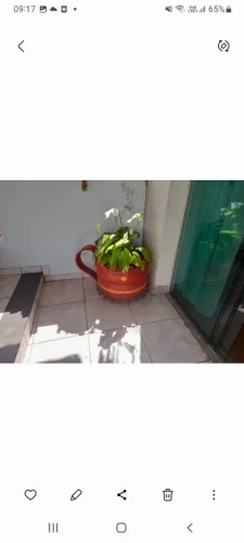 Vaso xícara de pneu