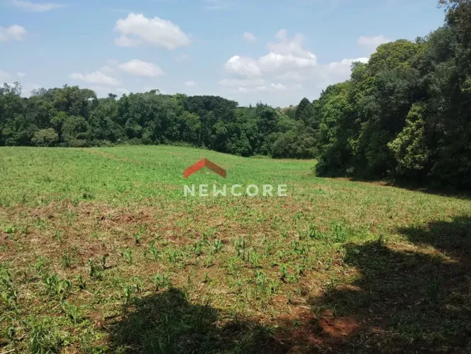 Chácara em Rua João Beger - Colônia Murici - São José dos Pinhais/PR
