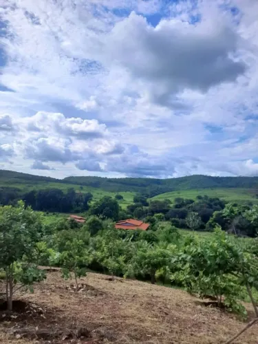 Fazenda em Cariús com linda casa sede(documentada, financia)