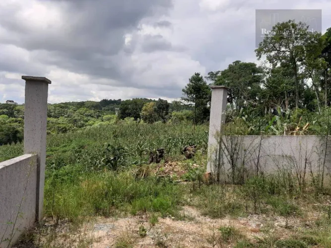 Chácara à venda, 6000 m² por R$ 259.900,00 - Imbuial - Colombo/PR