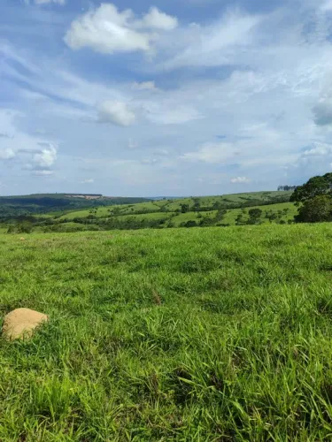 Fazenda de 79 alqueires em Corumba-Go