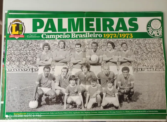 Poster gigante - Palmeiras Campeão Brasileiro g1972/1973