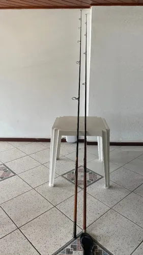 2 Caniços Inteiriços Argentinos