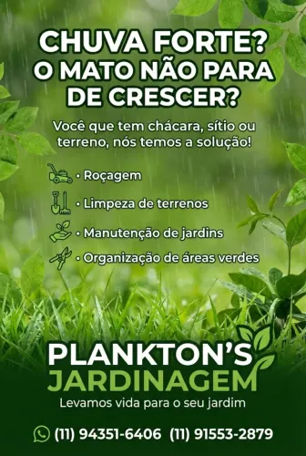 Limpeza de Terrenos, Roçagem e Podas de Árvores - Serviço Rápido e Eficiente!