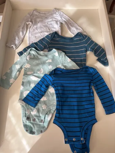 Body manga longa carters