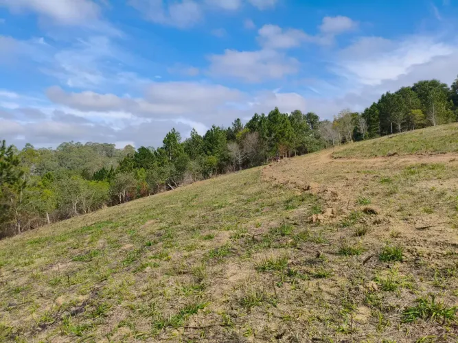 Terreno de 1.000m² com Natureza e Excelente Localização
