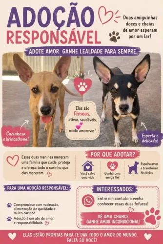 Animais
