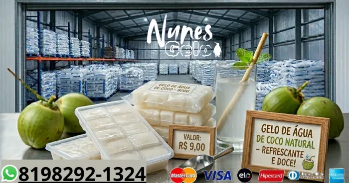 Gelo de água de coco natural