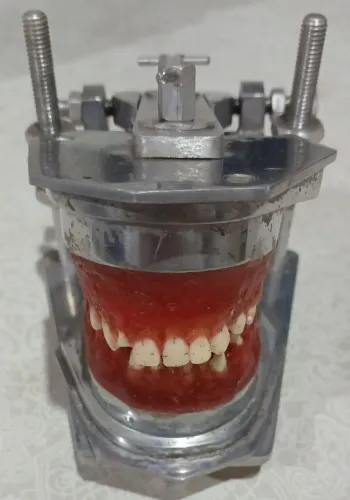 Manequim Odontológico de Metal