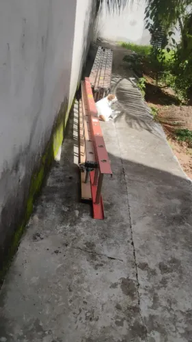 Escada extensiva 7,2 metros - R$650