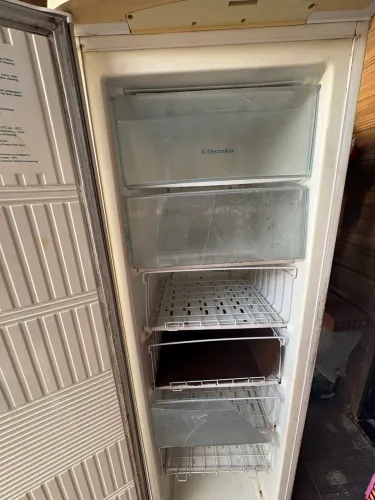 Freezer vertical