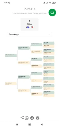 Embrião Quarto de Milha !