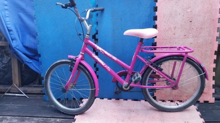 Bicicleta