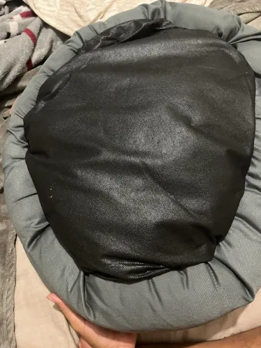 Cama pet