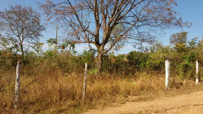 Vendo Lote próximo do Rio Cipó 