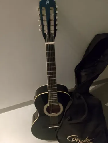 Viola Gianini elétricoacustica com afinador 10 cordas