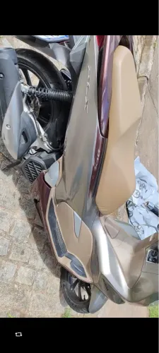 Pcx DLX