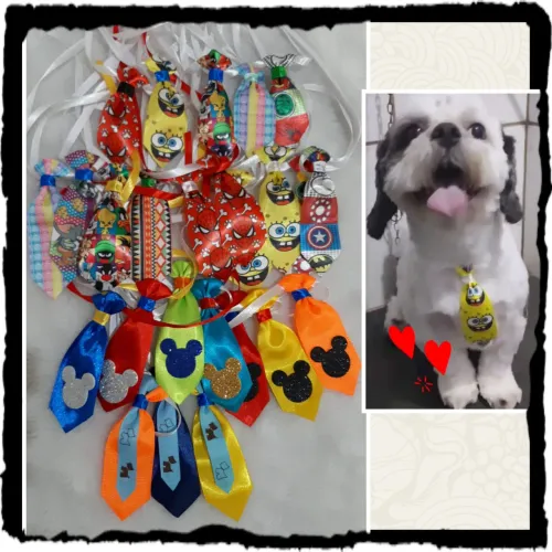 Gravatinha para cachorro , gravata pet , banho e tosa