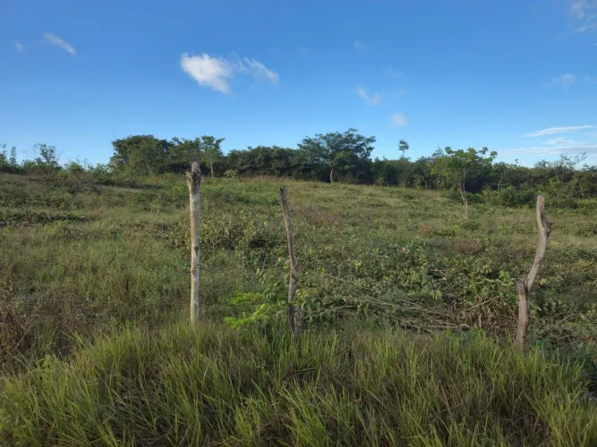 Terrenos em Barreirinhas-MA