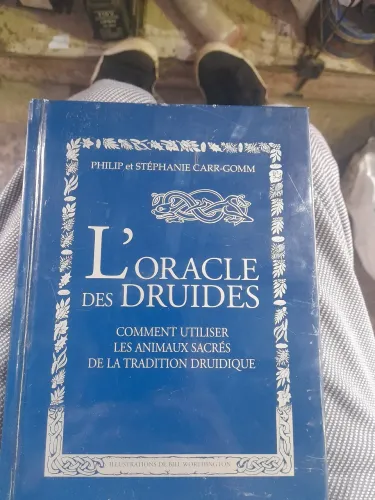 Cartas Oraculos