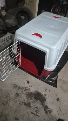 Caixa de transporte para cachorro grande porte