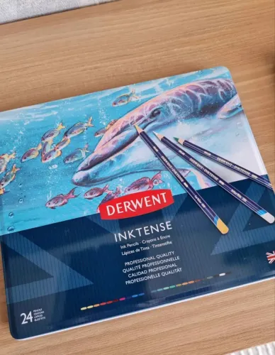 Lápis de Cor Derwent Inktense 24 cores Profissional - Novo