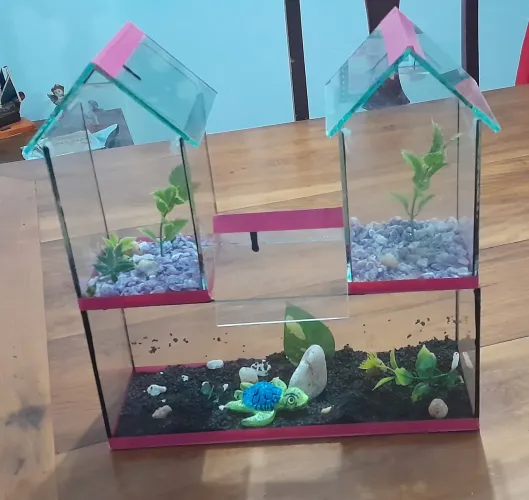 Aquario 3 casinhas solitárias