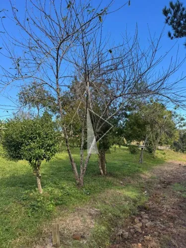 Chácara à venda, 220 m² por R$ 220.000 - Rural - Apiúna/Santa Catarina