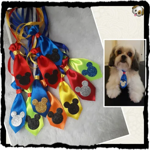 Acessórios pet , gravatinhas para cachorro