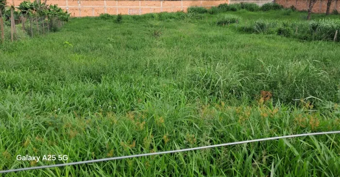 Lote de frente excelente com 1000 metros quadrados