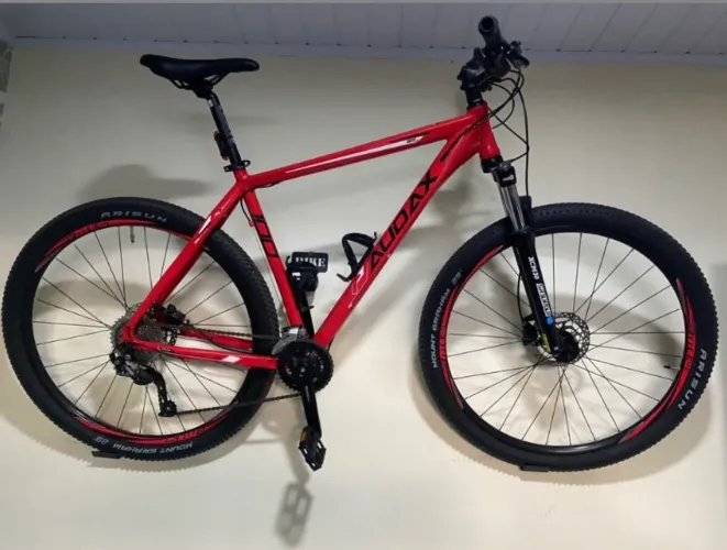 Bicicleta Audax 