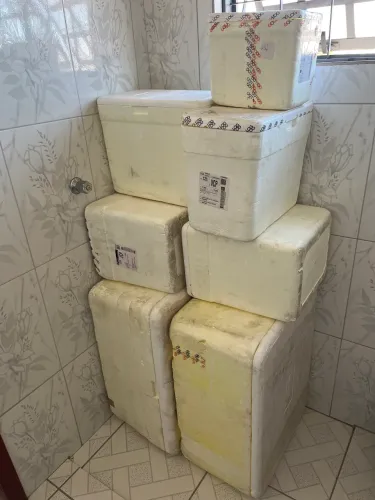 Caixas Térmicas de Isopor