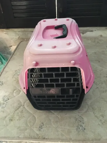 Caixa transporte gato