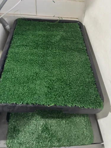 Sanitario para caes pet green com 2 refi
