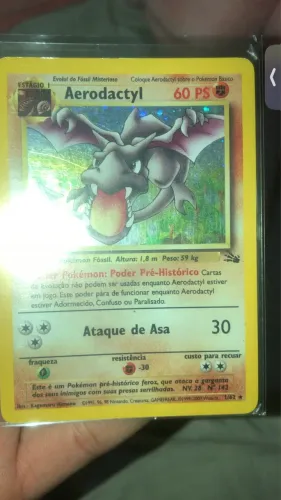 Carta aeroctatyl fóssil SP 