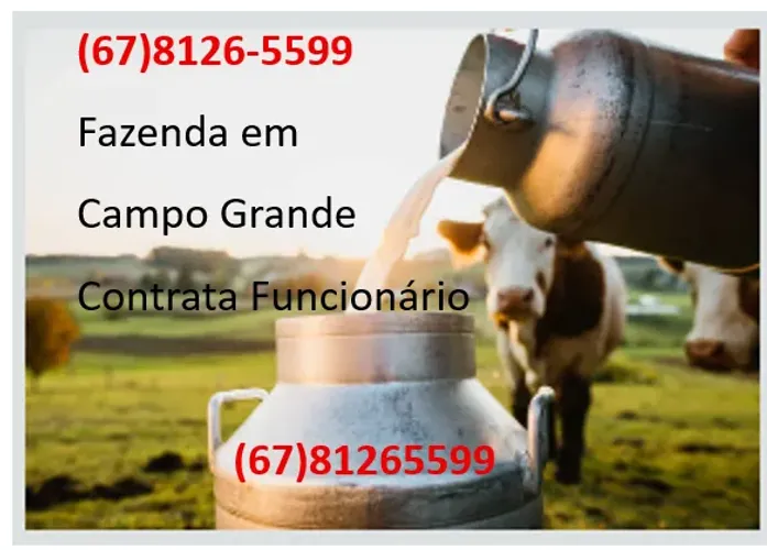 VAGA EMPREGO RURAL SERVIÇOS GERAIS FAZENDA EM CAMPO GRANDE